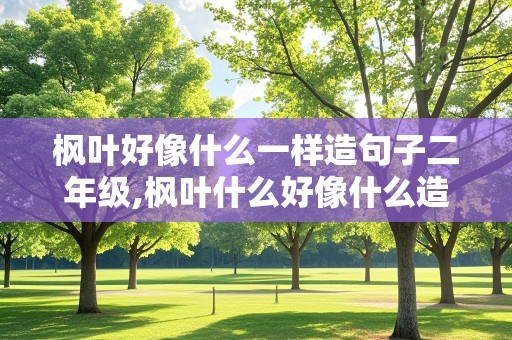 枫叶好像什么一样造句子二年级,枫叶什么好像什么造句