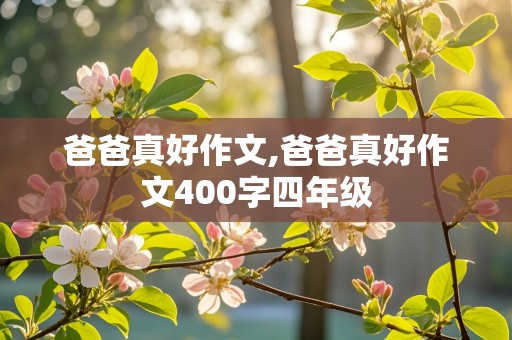 爸爸真好作文,爸爸真好作文400字四年级