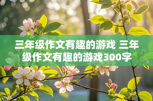 三年级作文有趣的游戏 三年级作文有趣的游戏300字