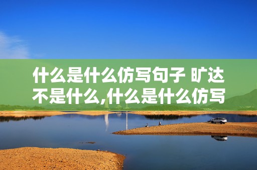 什么是什么仿写句子 旷达不是什么,什么是什么仿写句子