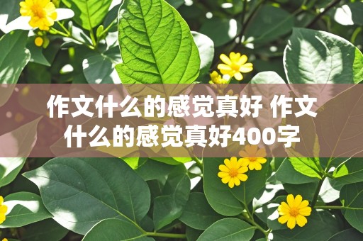 作文什么的感觉真好 作文什么的感觉真好400字