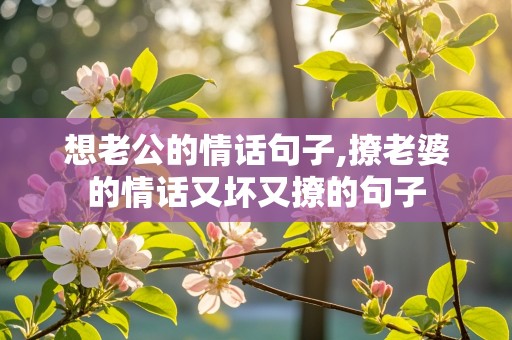 想老公的情话句子,撩老婆的情话又坏又撩的句子