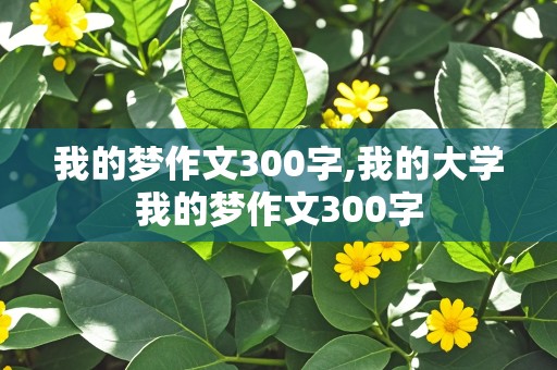 我的梦作文300字,我的大学我的梦作文300字