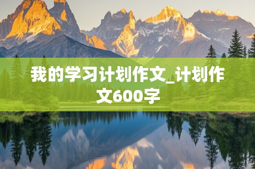 我的学习计划作文_计划作文600字