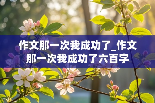 作文那一次我成功了_作文那一次我成功了六百字