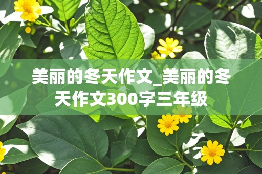 美丽的冬天作文_美丽的冬天作文300字三年级