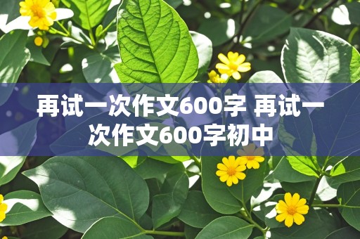 再试一次作文600字 再试一次作文600字初中