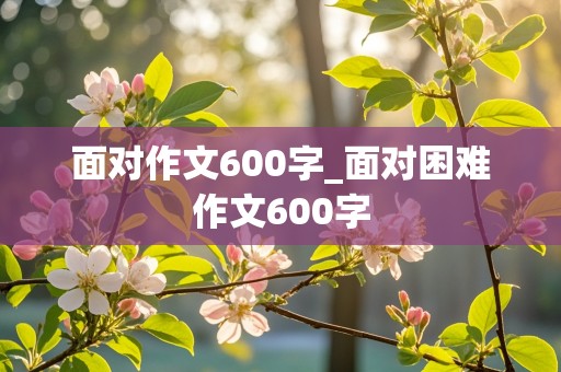 面对作文600字_面对困难作文600字