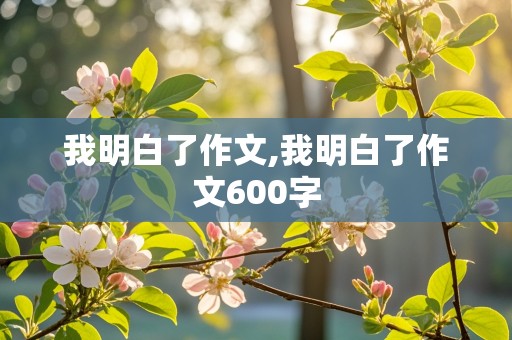 我明白了作文,我明白了作文600字