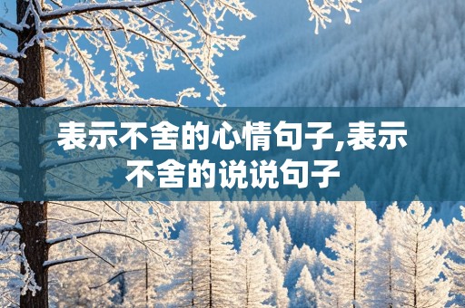 表示不舍的心情句子,表示不舍的说说句子