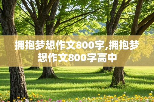 拥抱梦想作文800字,拥抱梦想作文800字高中