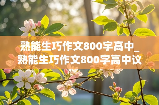 熟能生巧作文800字高中_熟能生巧作文800字高中议论文