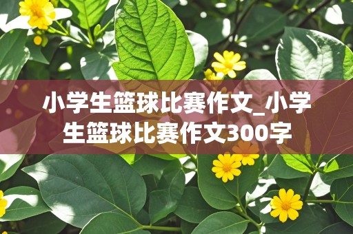 小学生篮球比赛作文_小学生篮球比赛作文300字