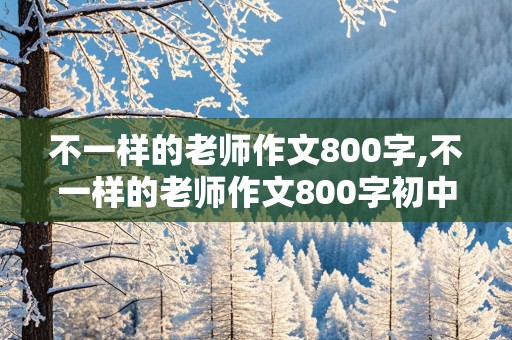 不一样的老师作文800字,不一样的老师作文800字初中