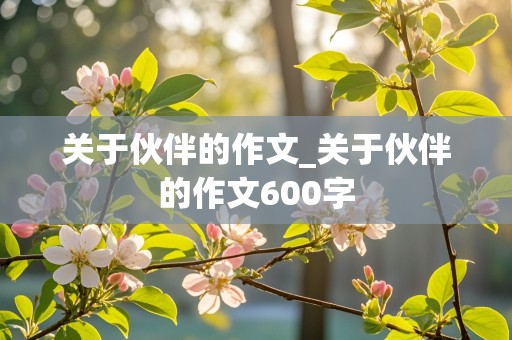 关于伙伴的作文_关于伙伴的作文600字