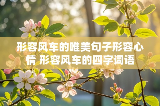 形容风车的唯美句子形容心情 形容风车的四字词语