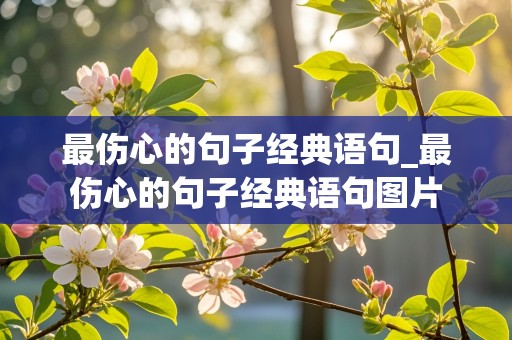 最伤心的句子经典语句_最伤心的句子经典语句图片