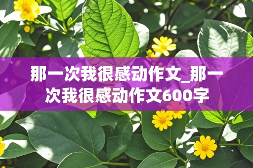 那一次我很感动作文_那一次我很感动作文600字