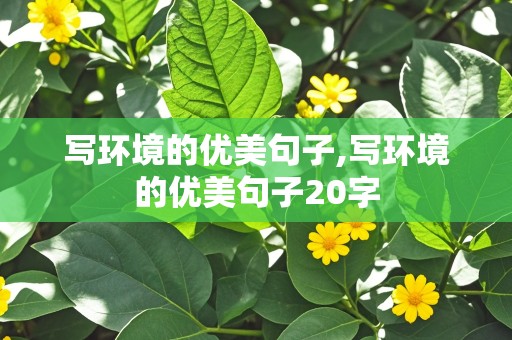 写环境的优美句子,写环境的优美句子20字