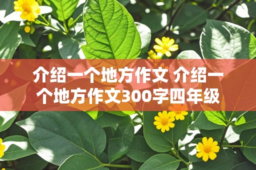 介绍一个地方作文 介绍一个地方作文300字四年级