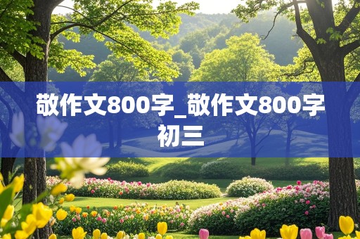 敬作文800字_敬作文800字初三