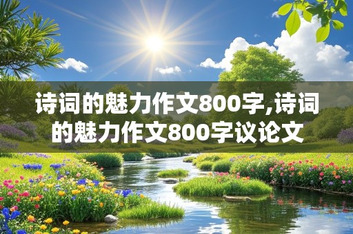 诗词的魅力作文800字,诗词的魅力作文800字议论文