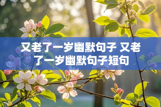 又老了一岁幽默句子 又老了一岁幽默句子短句