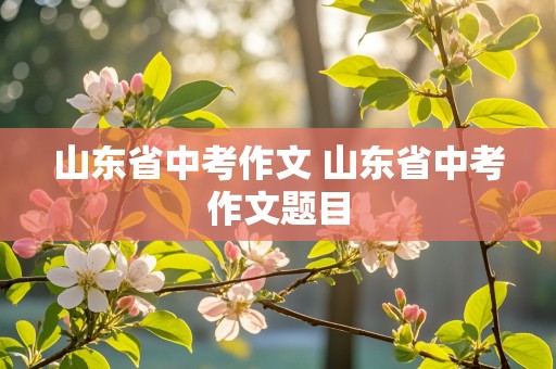 山东省中考作文 山东省中考作文题目