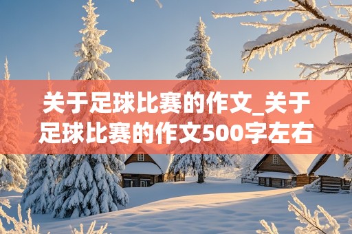 关于足球比赛的作文_关于足球比赛的作文500字左右