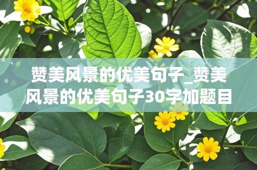 赞美风景的优美句子_赞美风景的优美句子30字加题目和作者