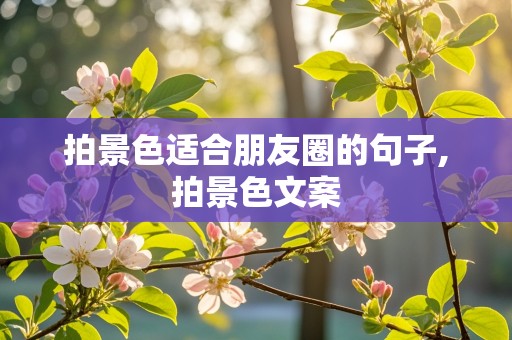 拍景色适合朋友圈的句子,拍景色文案