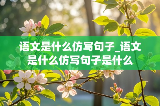 语文是什么仿写句子_语文是什么仿写句子是什么