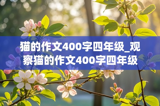 猫的作文400字四年级_观察猫的作文400字四年级