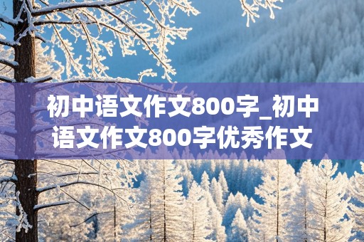 初中语文作文800字_初中语文作文800字优秀作文