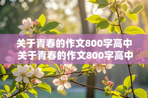 关于青春的作文800字高中 关于青春的作文800字高中议论文作文