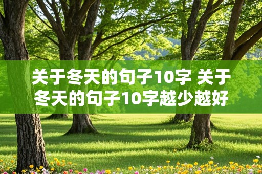 关于冬天的句子10字 关于冬天的句子10字越少越好