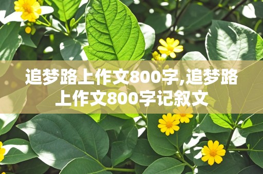 追梦路上作文800字,追梦路上作文800字记叙文