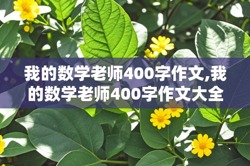 我的数学老师400字作文,我的数学老师400字作文大全