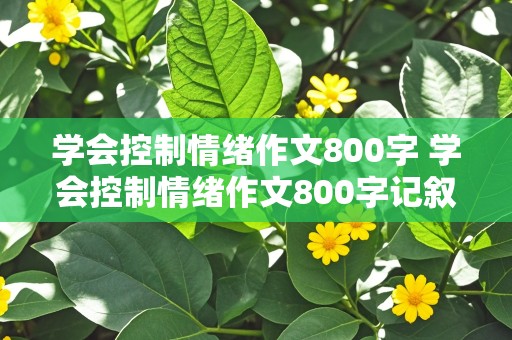 学会控制情绪作文800字 学会控制情绪作文800字记叙文