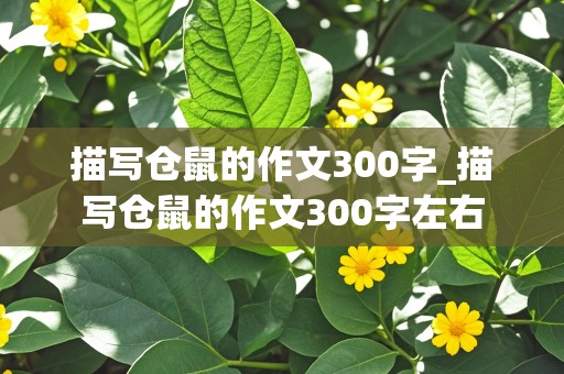 描写仓鼠的作文300字_描写仓鼠的作文300字左右