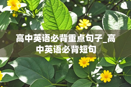 高中英语必背重点句子_高中英语必背短句