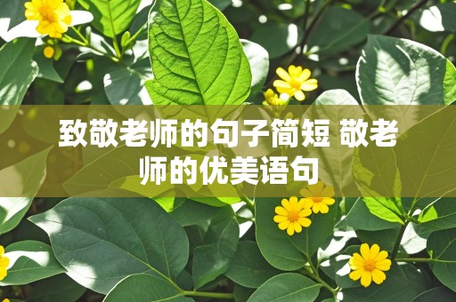 致敬老师的句子简短 敬老师的优美语句