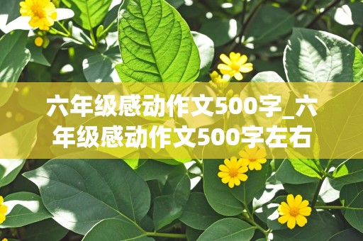 六年级感动作文500字_六年级感动作文500字左右