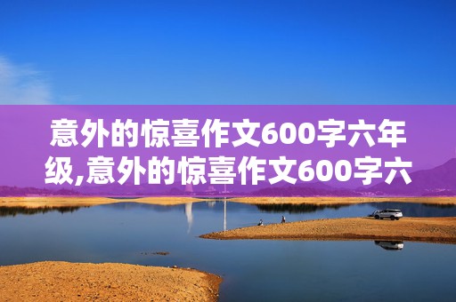 意外的惊喜作文600字六年级,意外的惊喜作文600字六年级过生日