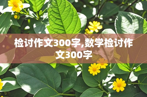 检讨作文300字,数学检讨作文300字