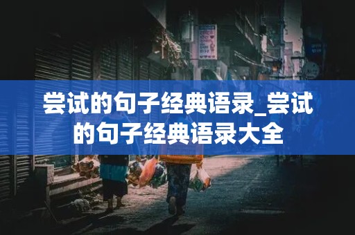 尝试的句子经典语录_尝试的句子经典语录大全