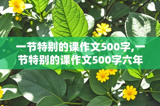 一节特别的课作文500字,一节特别的课作文500字六年级