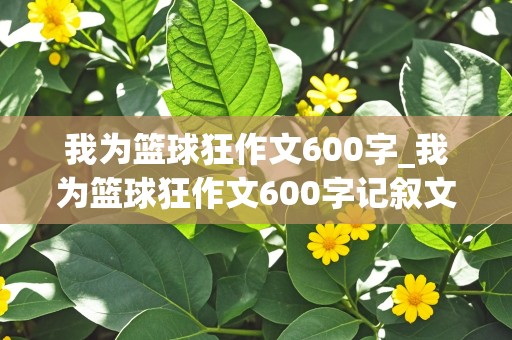 我为篮球狂作文600字_我为篮球狂作文600字记叙文