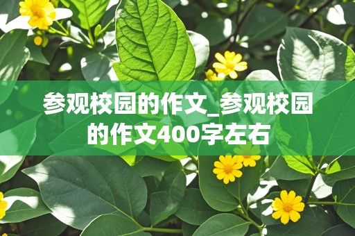 参观校园的作文_参观校园的作文400字左右