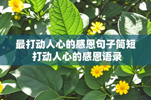 最打动人心的感恩句子简短 打动人心的感恩语录